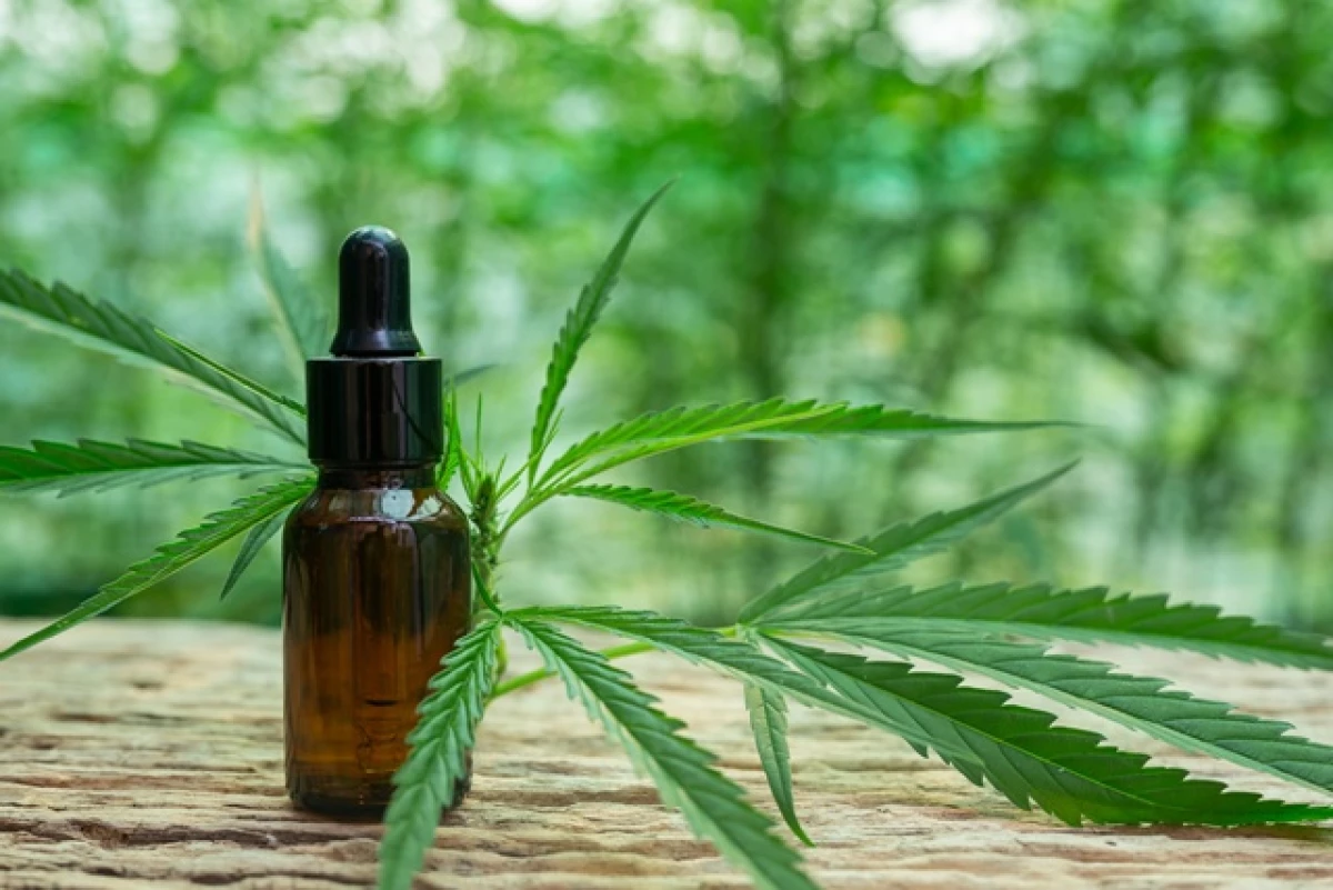 imagem da noticiaJuiz nega autorização e farmácia de manipulação é proibida de vender produtos à base de maconha no Tocantins