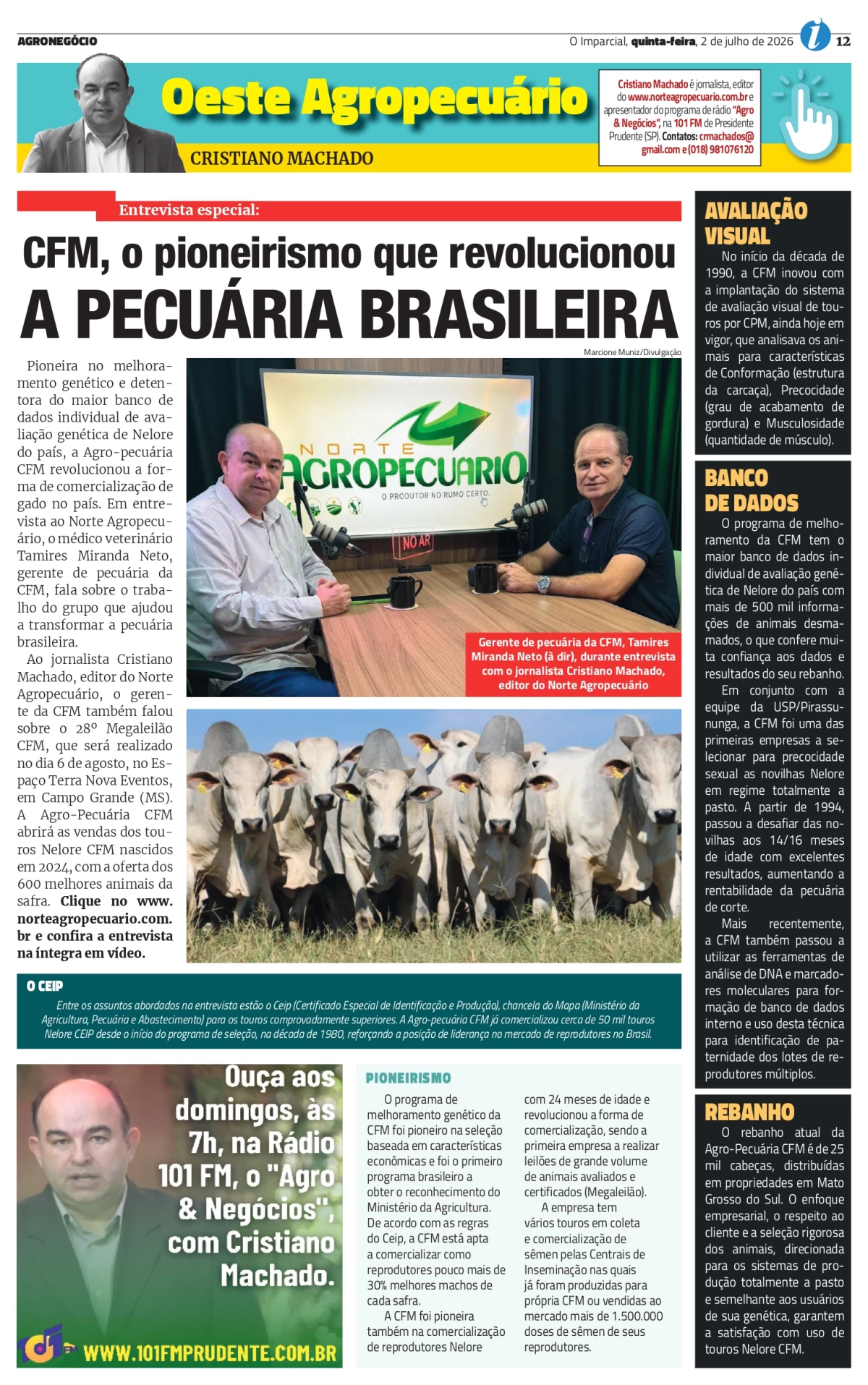 imagem