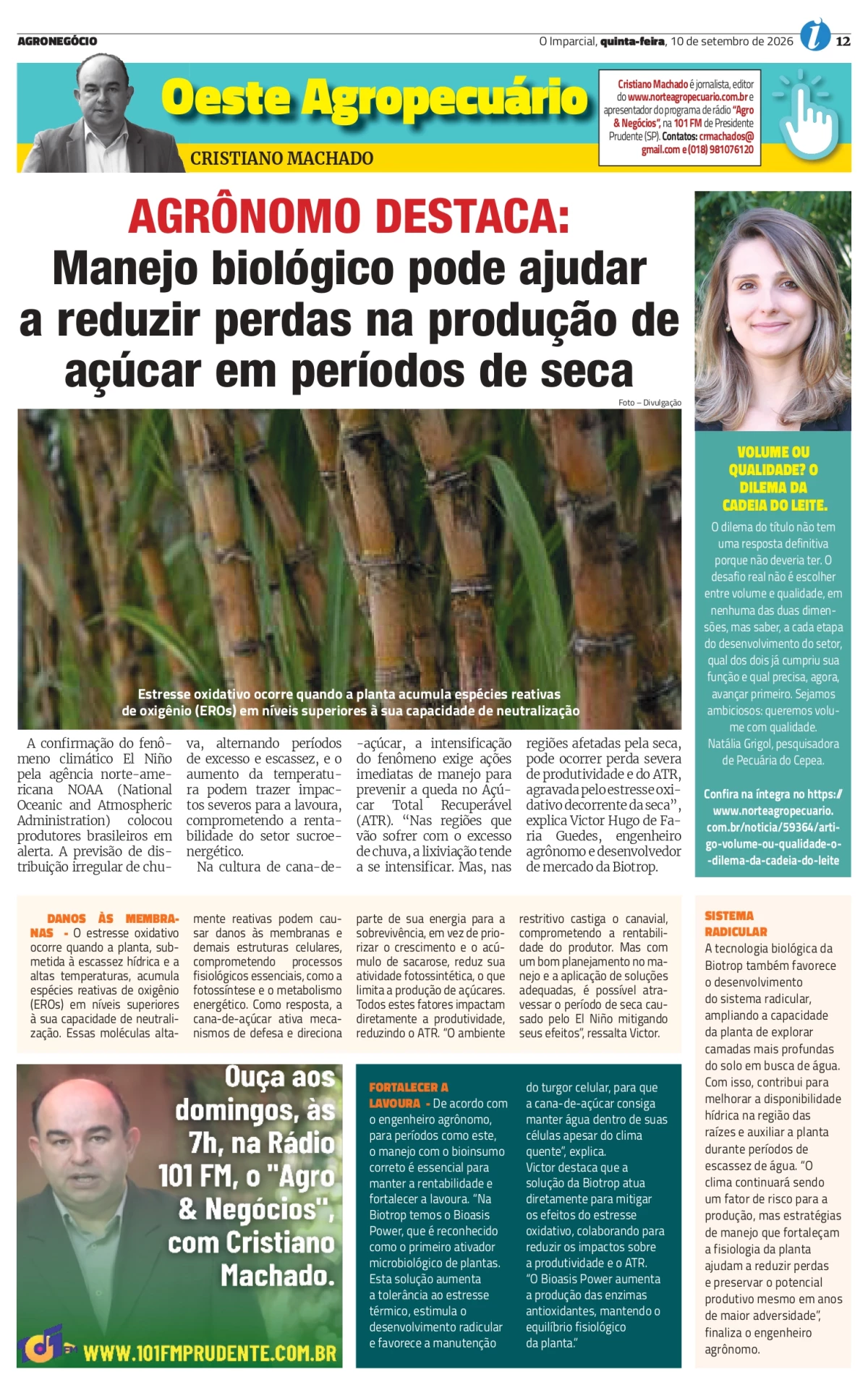 Oeste Agropecuário