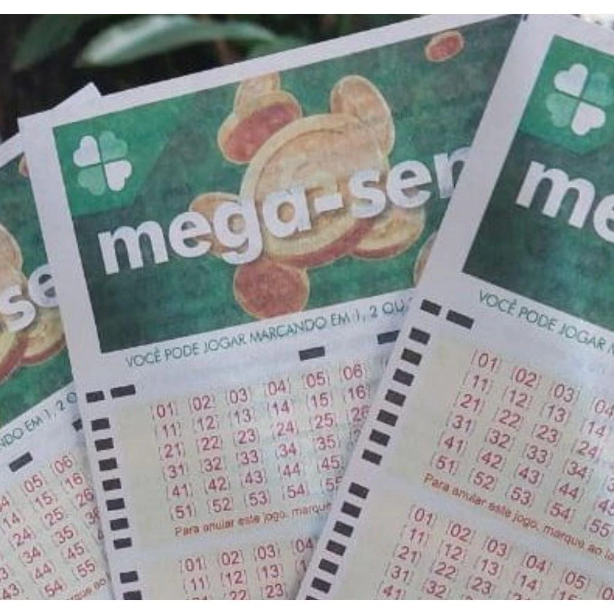 Imagem do Card