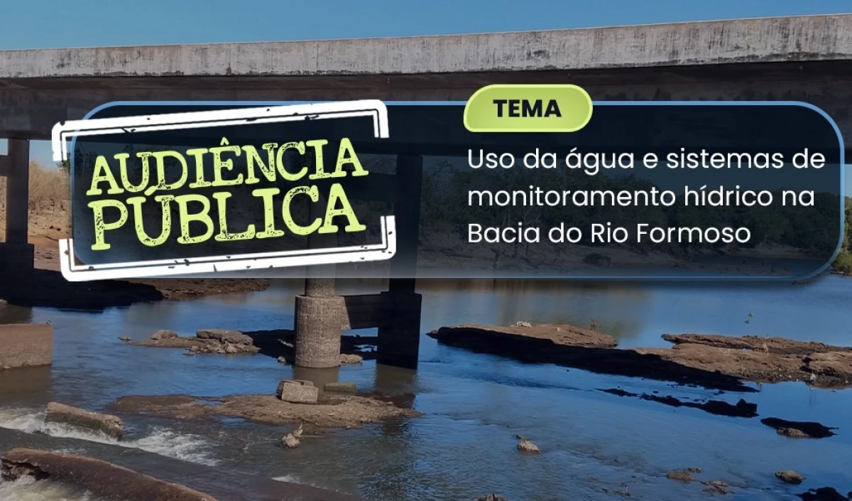 Imagem do Card